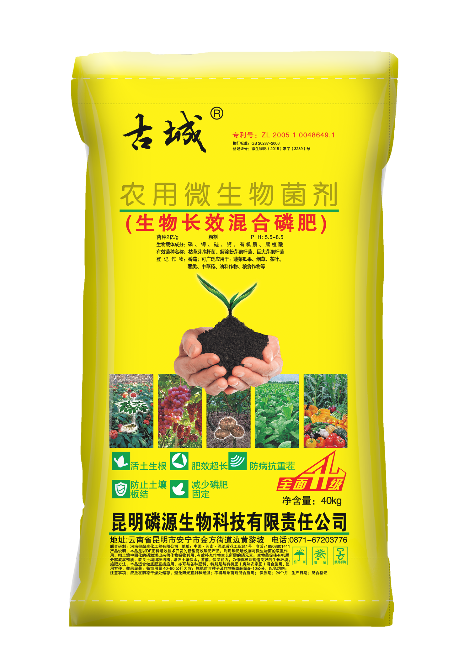 和莊肥業(yè) 磷肥 云南肥料 昆明有機肥廠 微生物菌肥